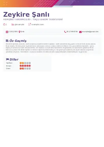 Hasta ve Yaşlı Bakım Elemanı Cv Örnekleri cv indir